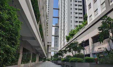 Ưu tiên cấp sổ hồng cho cư dân